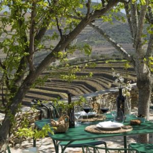 offre touristique de la quinta da corte - oenotourisme douro