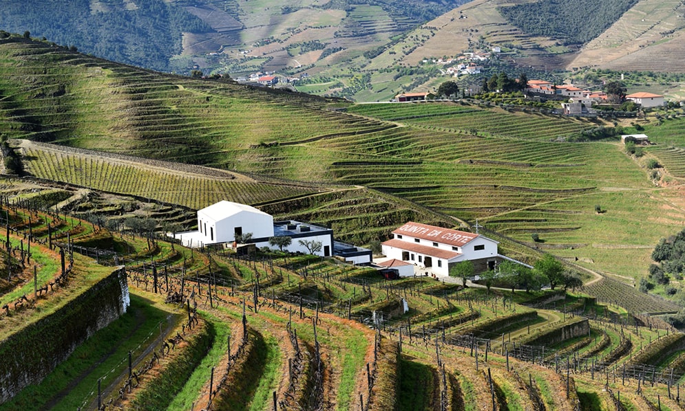 À descoberta da Quinta da Côrte e do Vale do Douro