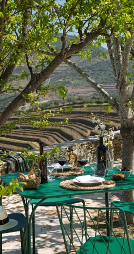 Estadia na Quinta da Côrte