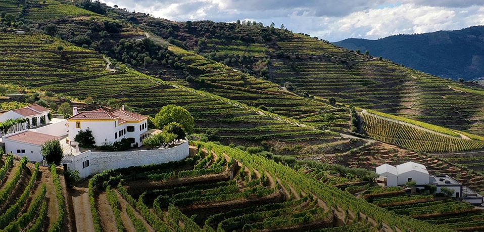 Quinta da Côrte - History and Legacy